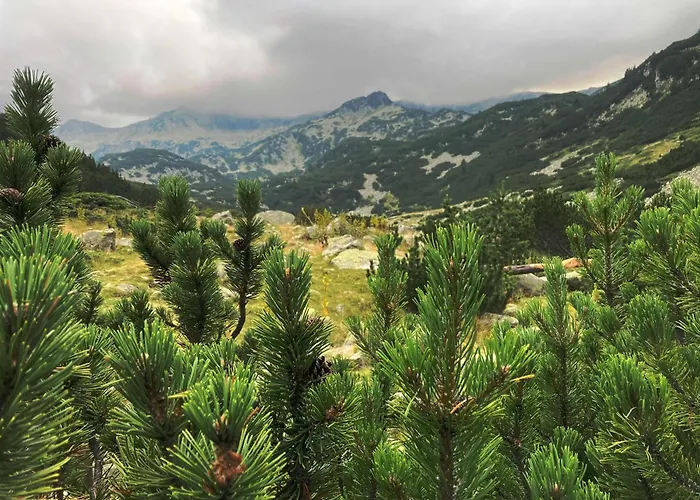 Otel Ores Boutique Bansko